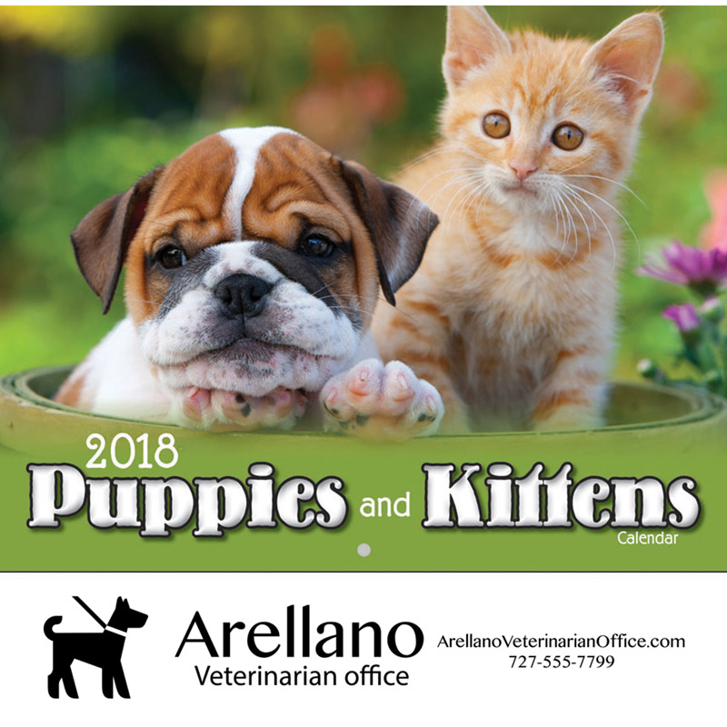 2018 Puppies & Kittens Wall Calendar - Stapled