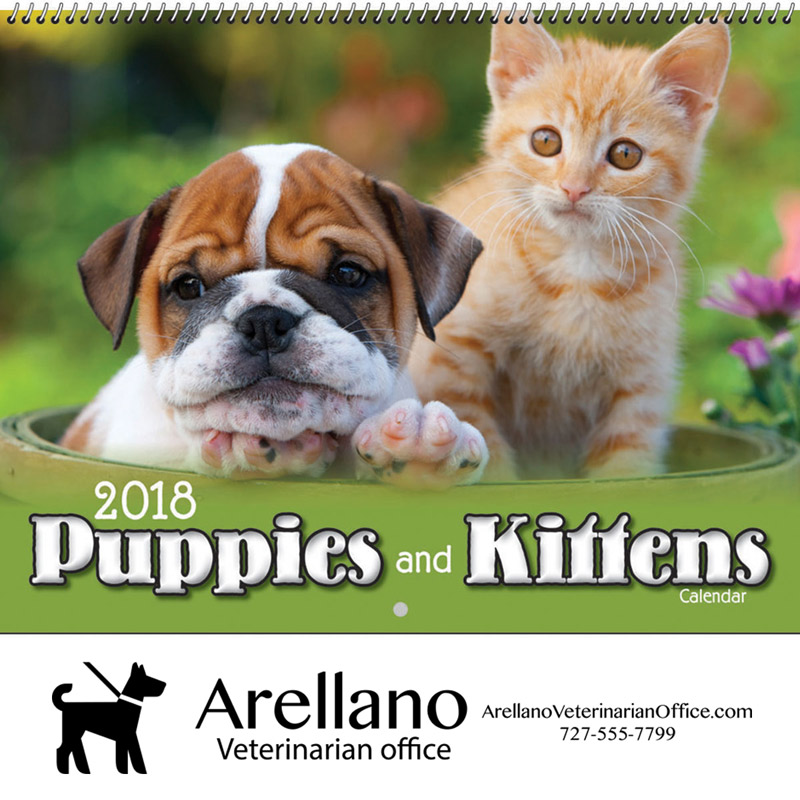 2018 Puppies & Kittens Wall Calendar - Spiral