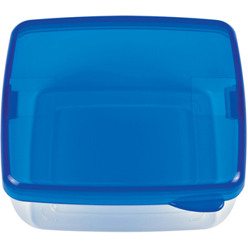 Square Lunch Container