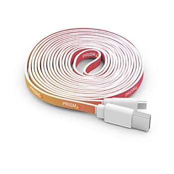10 Foot Branded Cable